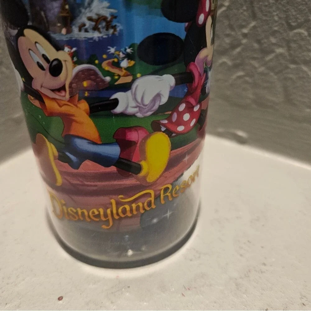 Disneyland Resort Water Bottle Double Wall Insulated 11